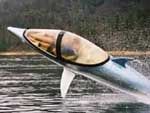 Dolphin Boat (Amazing)