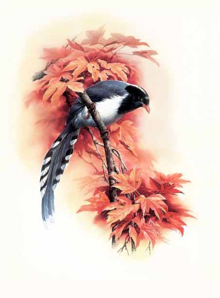 Birds in art 01