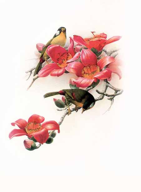 Birds in art 04
