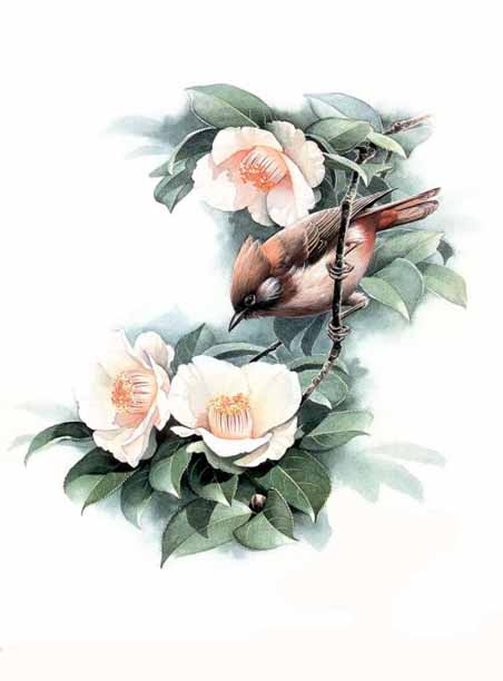 Birds in art 06