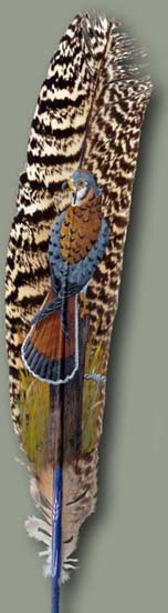 Painting Art on Feather 20