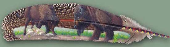 Painting Art on Feather 24