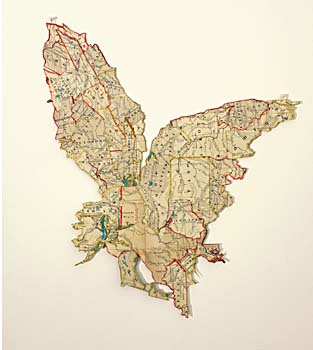 Map Art Bird