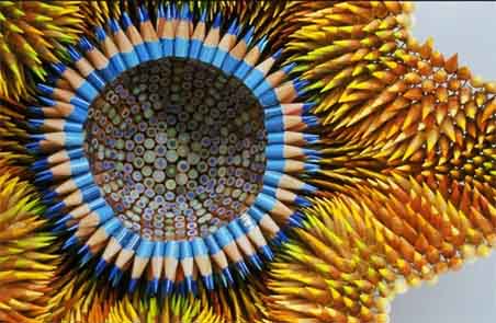 Art with pieces of pencil 08