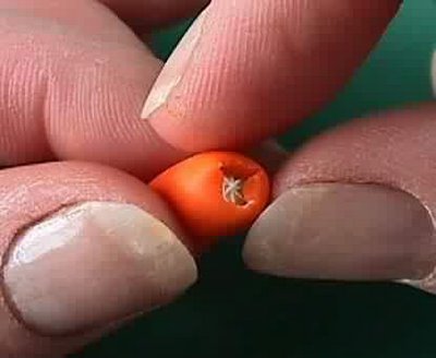 Smallest Man Made Orange 25