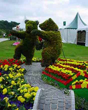 Topiary - Congerlton Bears
