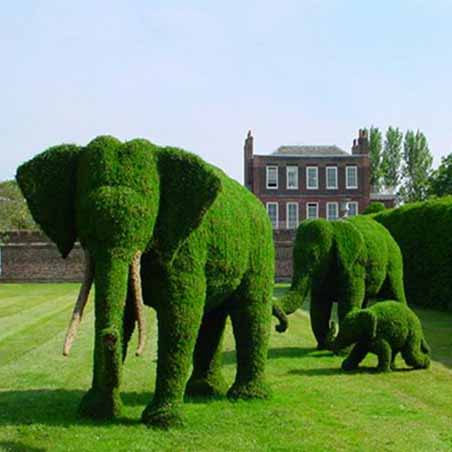 Topiary - Elephant Family