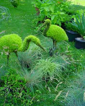 Topiary - Herons