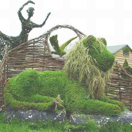 Topiary - Sedum Lion