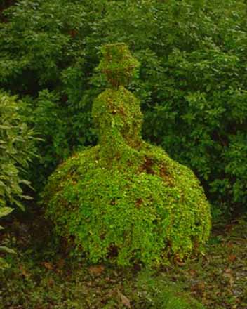 Topiary - Sitting Lady