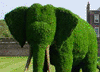 Beautiful Topiary Designs