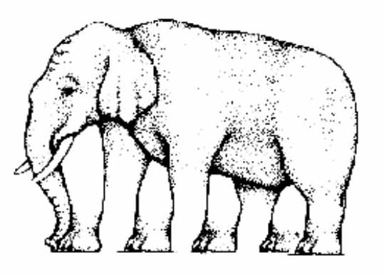 Optical illusion - How many legs does this elephant have?