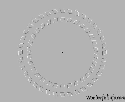 Focus on the dot in the center and move your head backwards & forwards