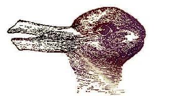 Optical illusion - A Rabbit .... or A Duck?