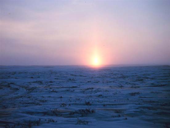 Arctic Sunrise