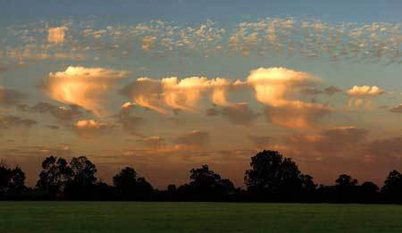 Altocumulus Castelanus