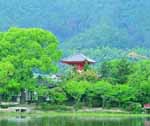 Natural Scenes of Kyoto City of Japan
