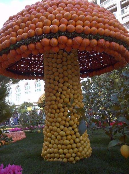 Orange Festival Netherland 08