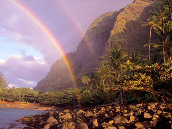 Rainbow 01