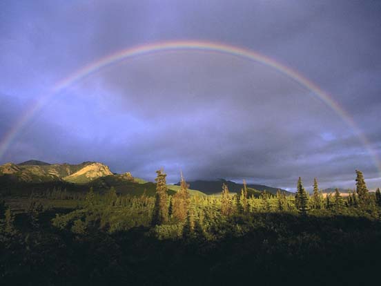 Rainbow 03
