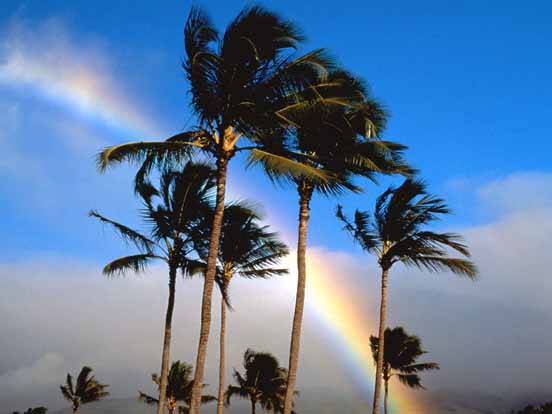 Rainbow 04