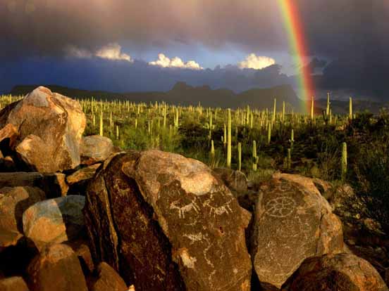 Rainbow 05