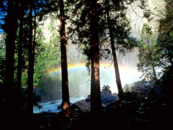 Rainbow 06