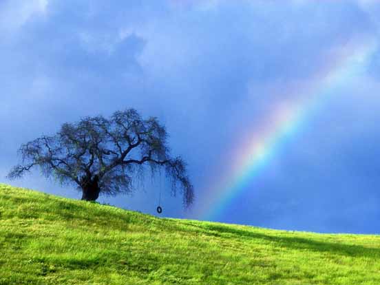 Rainbow 09