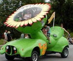Recreational Vehicles