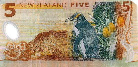 A New Zealand note for five dollars