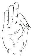 Gyan Mudra (Mudra of Knowledge)