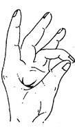 Prithvi Mudra (Mudra of Earth)
