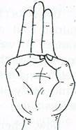 Varuna Mudra (Mudra of Water)