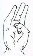 Surya Mudra (Mudra of Sun)