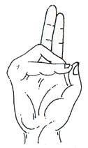Prana Mudra (Mudra of Life)