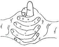 Linga Mudra (Mudra of Heat)