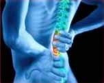 Lower Back Pain (a complete guide)