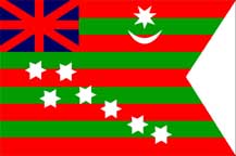 this Indian flag was hoisted at the Congress session in Calcutta