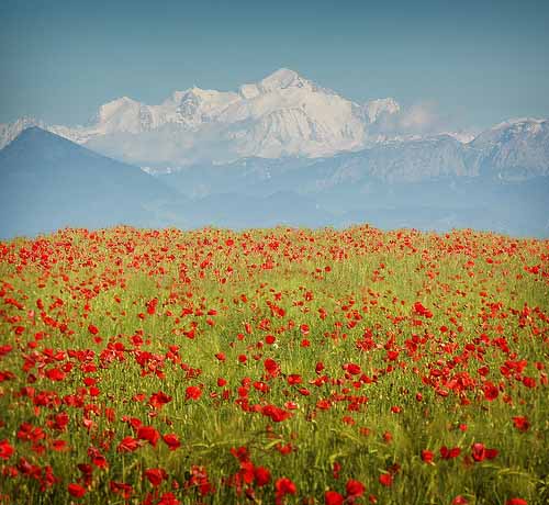 Alps - a majestic mountain range