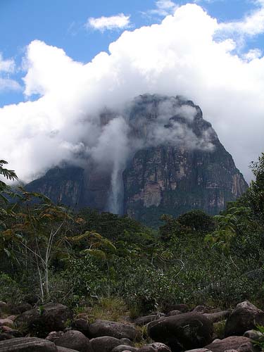 Angel Falls