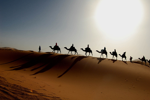 Sahara Desert - world's biggest desert